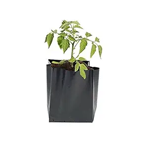 Ballatha Nursery Bags for Plants Black 6x8 inch, 10 Pieces