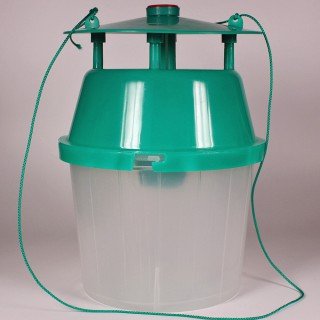 Trichterfalle gegen Apfelwickler, Pflaumenwickler und Kastanienminiermotte