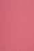 Produktbild 50 Blatt Dunkelrosa Tonpapier DIN A4 210x297mm, 140g, Woodstock Malva, ÖKO, Recyclingpapier - ideal für Hochzeit, Weihnachten, Geburtstag, Einladungen, Visitenkarten, Basteln und Dekorieren