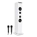 Produktbild auna Karaboom • Kinder Karaoke Anlage • Karaoke Player • Karaoke Set • Turmlautsprecher • integrierter CD-Player • Bassreflex • Bluetooth • 2 x Mikrofon • USB-Port • MP3-fähig • AUX-IN • weiß