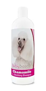 Healthy Breeds Chamomile Dog Shampoo & Conditioner with Oatmeal & Aloe for Poodle, White - Over 200 Breeds - 8 oz - Gentle for Dry Itchy Skin - Safe with Flea and Tick Topicals