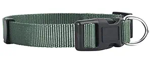 Native Pup Nylon Dog Collar Classic Solid Colors (Large, Green)