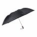 Fendo auto open 2 fold black umbrella RS.240.00