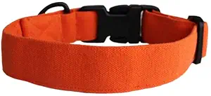 Lana Paws Tangerine Orange Soft & Sturdy Canvas Fabric Collar (Medium)