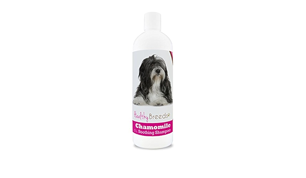 lhasa apso shampoo