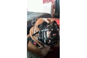 L&J Pets Uk Light leather Dog Muzzle for English Bulldog and Other dogs with short snout