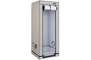 Homebox Ambient Q60+