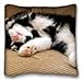 Produktbild Generic Personalized ( Animals cat sleeps dog spotted lying feet ) Pillowcase Cover 16"X16" One Side suitable for King-bed PC-Purple-800