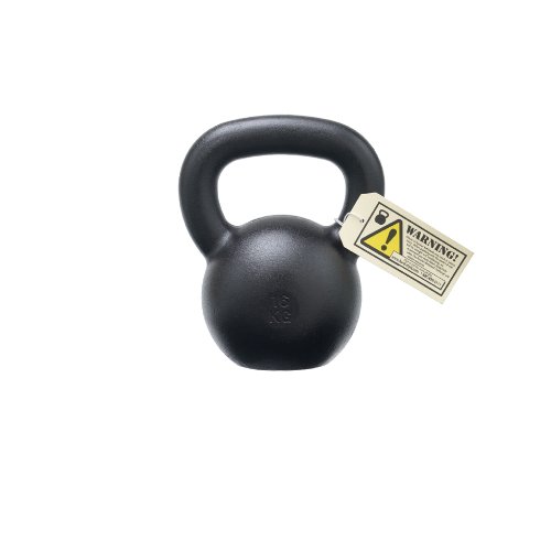 Preisvergleich Produktbild 18kg Dragon Door Military Grade RKC Kettlebell