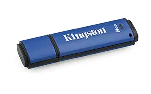 Kingston DataTraveler Vault Privacy 8GB USB 3.0 Pen Drive Standard Model (DTVP30/8GB)