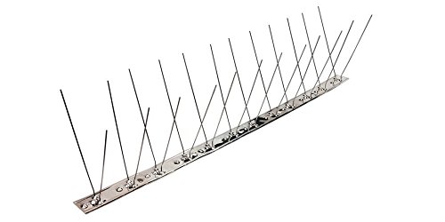 Pestsystems Vogelabwehrsystem, 1 Meter Taubenspikes 2-reihig auf V2A-Flexleiste – hochwertige Lösung für Vogelabwehr Taubenabwehr Edelstahl Spikes - 2