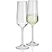 Produktbild 2 Stück Savoy Polycarbonat 290ml Sektglas in Echtglasoptik bruchfest - 2X Camping Glöser Champagnerglöser Glas Kunststoff