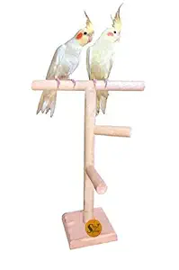 Sage Square 13Inches / 33cm Natural Wood Training Cum Exercise 2 Stairs Playful Perch Bird Stand/Bird Toy