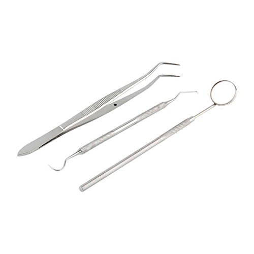 Preisvergleich Produktbild Timlatte 3pcs Dental Examination Kit Probe Set Hygiene Examination Cleaning Tools