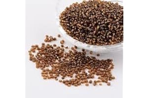 Handicraft Emporium Glass Seed Beads | Lined (2mm, Brown)