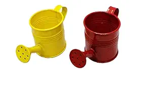 TNZ Creations Metal Watering Can small size. This adorable watering can help you in the garden Promote fun family time by engaging kids with Nature. (Colour may vary, depanding on availability) Pack of 2 Pieces. Size. Height. 6.35 cms, Top Dia. 6.10 cms, Base dia. 6.10 cms, Length Handle to Spout. 13.97 cms. ( kindly check the size before you place the order.)