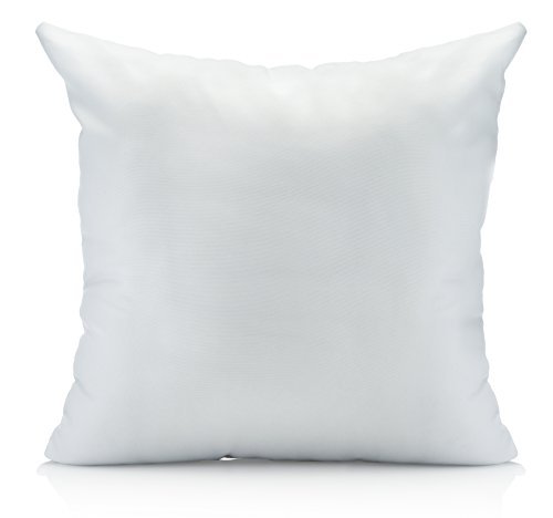 Throw Pillow Inserts