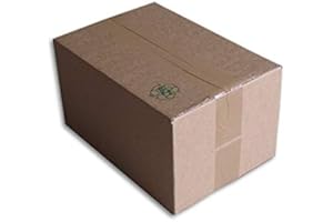 ENVELOPPEBULLE Lot de 10 Boîtes carton (N°34) format 300x200x160 mm