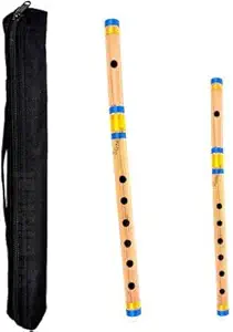 SG MUSICAL A & C Musical Professional Flute With Bag Bamboo Flute (41 cm) - TD