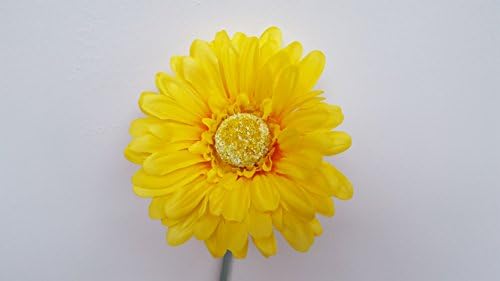 short stemmed 12cm gerbera flower ideal for VW Beetle Vase (Yellow)
