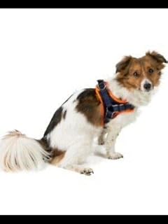 3 peaks fleece lined padded harness