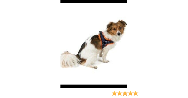 3 peaks lightweight step in harness