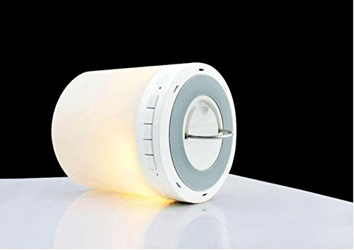 WY&WYLED emotionales Audio-festliches Geschenk Lampe tragbares tragbares wasserdichtes Bluetooth-Audio