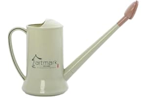 YTFSKFUI Indoor Outdoor Watering Can, Small Watering Can With Removable Long Spout, Elegant Plastic Garden Watering Can With Rose Head, 2l Large Capacity Plant Watering Can, Matcha Green