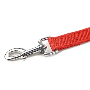 Padded Dog Callor and Leash Set