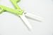 ZoLi Snip Ceramic Food Scissors (15 cm, Green)