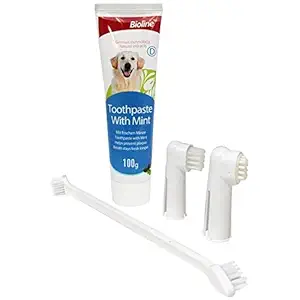 ANEMEL India Bioline Dental Care Kit Set for Dogs & Puppies - One Long Toothbrush, Two Finger Toothbrushes & Toothpaste Mint Flavour 100g