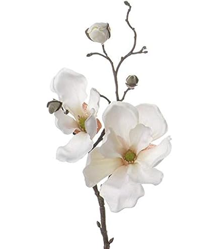 2 Stück Künstliche Magnolienzweige 56cm - Realistische Grünpflanzen Für Vasen & Deko