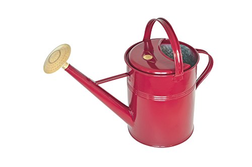 Preisvergleich Produktbild Haws Traditionelle Peter Rabbit Design Metall Gießkanne