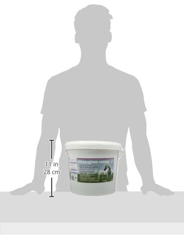 Pegasus-Health-Vitex-Agnus-Castus