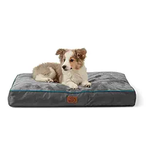 Bedsure Pet Mat-Convoluted Foam pet mat-1680D-Grey Plush 30x20x3 US