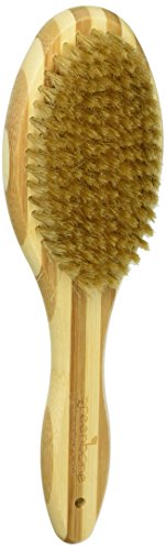 Greenbone All Natural Bamboo Pet Grooming Brushes - Made from Sustainable Materials (Bristle Brush)