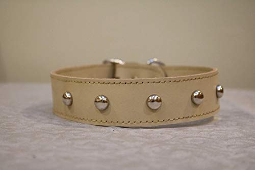 hockey lace dog collar