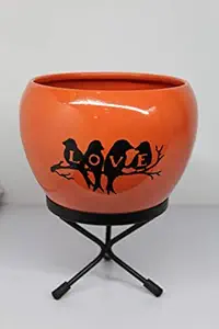 Homace International 5