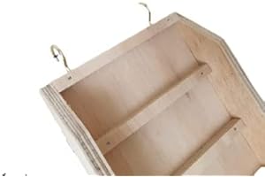 Generiq Shelf ramp ladder + sides for rat, hamster, guinea pig, rabbit cage accessories different sizes (W-20 cm, L-60cm)