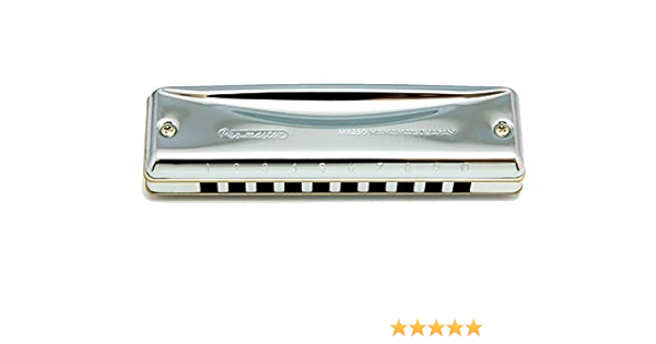 Suzuki Pro Master Diatonic Harmonica In F Amazon De Musikinstrumente