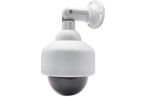 O&W Security 2 Dummy telecamere finte professionali di sorveglianza a cupola, per esterni, con obiettivo, cavo e videosorveglianza lampeggiante