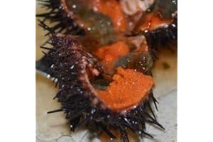 ESPAGNE GOURMET Caviar d'oursin