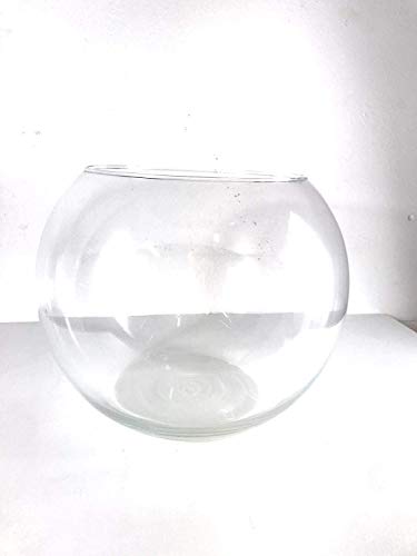 Global Dream srls Ampolla in Vetro per Pesci Rossi Boccia - Palla per Pesci cm15