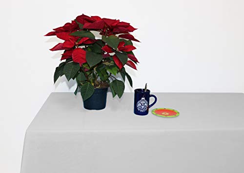 Perfect Textil Mantel Mesa Rectangular Color Liso de Poliéster Lavable Ideal para Las Mesas de Buffet Plegables, Mesas de Picnic al Aire Libre y Mesas de Comedor y Cocina (Blanco, 150x200cm)