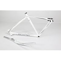 TELAIO SCOTT SPEDSTER LTD PLATA BLANCA (61 XXL)