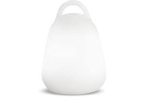 LUMISKY Baladeuse sans fil waterproof et flottante LED blanc/multicolore dimmable LIBERTY C25 H24cm avec télécommande et socle à induction