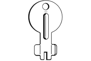 AFI1 CHIAVE ASCENSORI FIAM 16 [SILCA ]