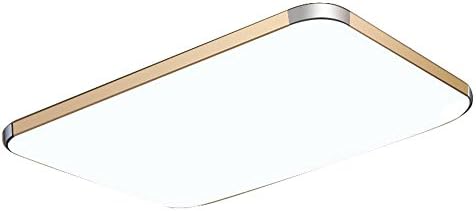 LED Ceiling lights, Modern ceiling light fixture, Flush mount ceiling light,High transmittance lampshade , 40*40 15W