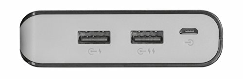 Trust Urban 20000 mAh Powerbank (Hohe kapazitÃ¤t, externer Akku, 2x Smart 2,4 A USB Anschluss, LED-Statusanzeige, geeignet fÃ¼r iPhone, iPad, Samsung Galaxy und weitere Smartphones/Tablets)