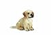 Produktbild Schleich 16342 Golden Retriever Welpe